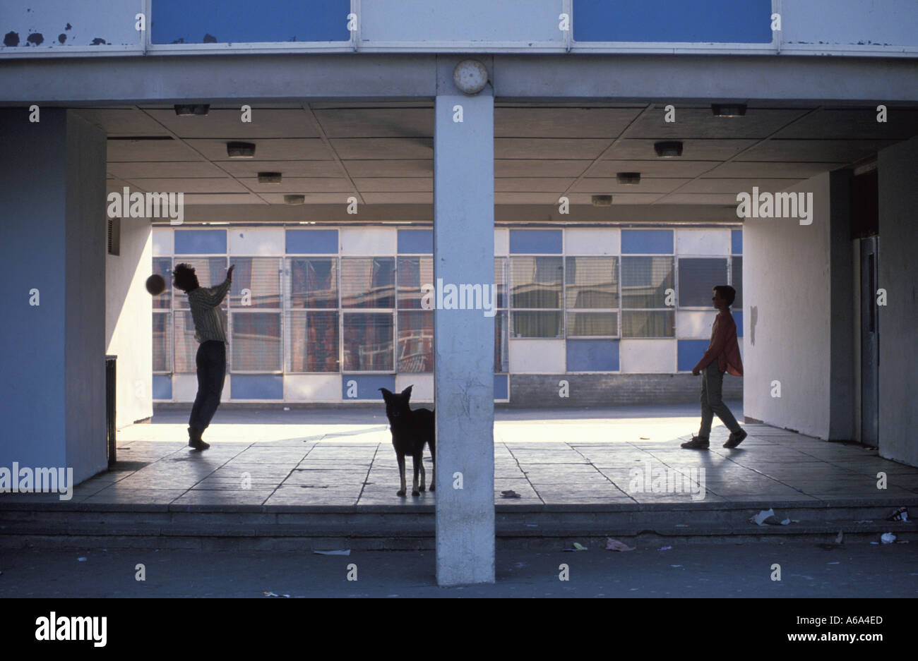 Council Housing in East End of Glasgow Scotland Stock Photo Alamy