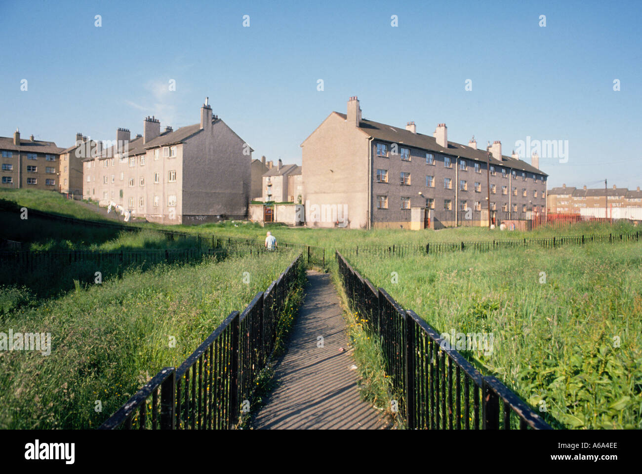 Council Housing in East End of Glasgow Scotland Stock Photo