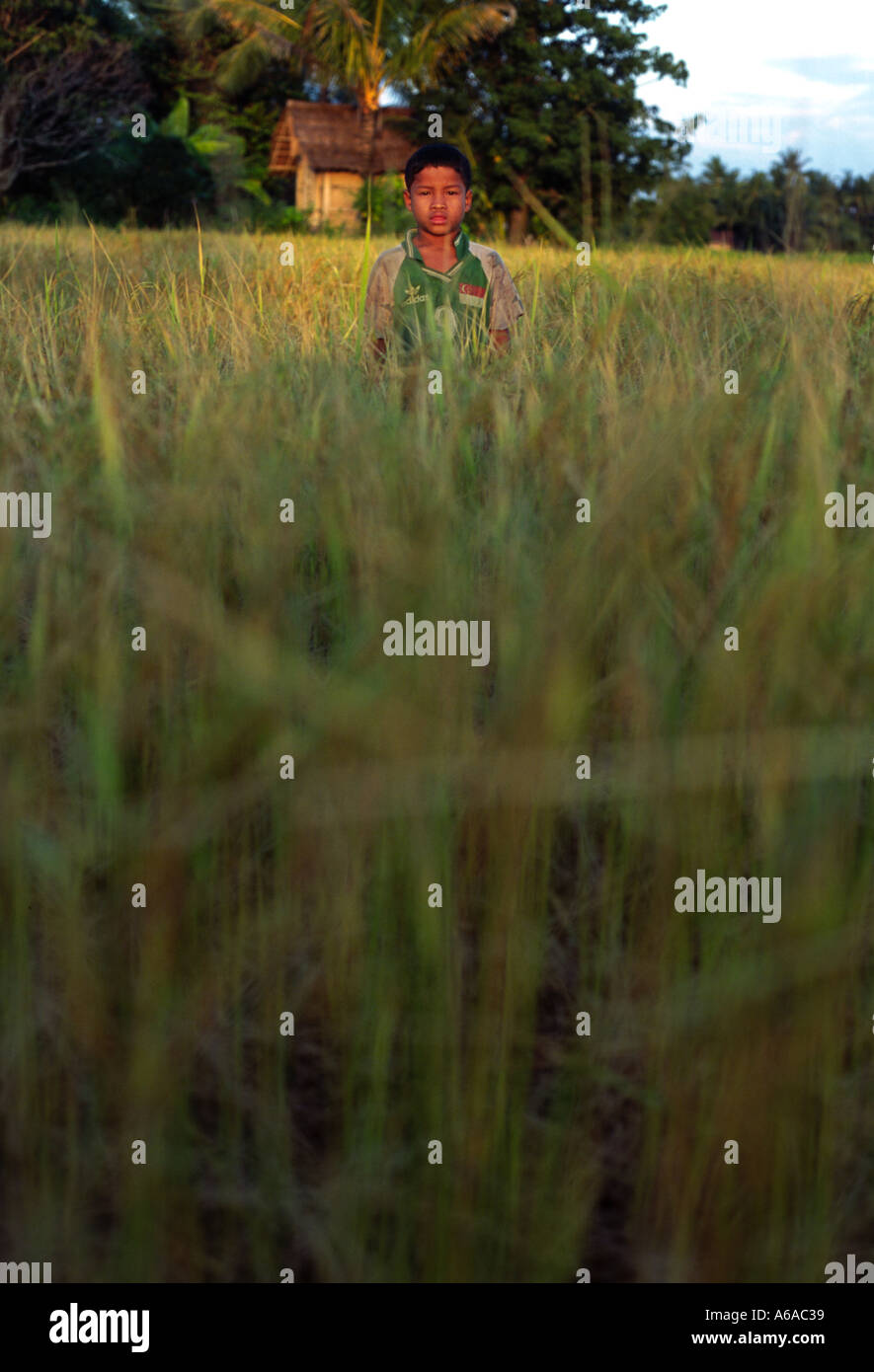 Young laos boy in paddy field Don Det Laos Stock Photo