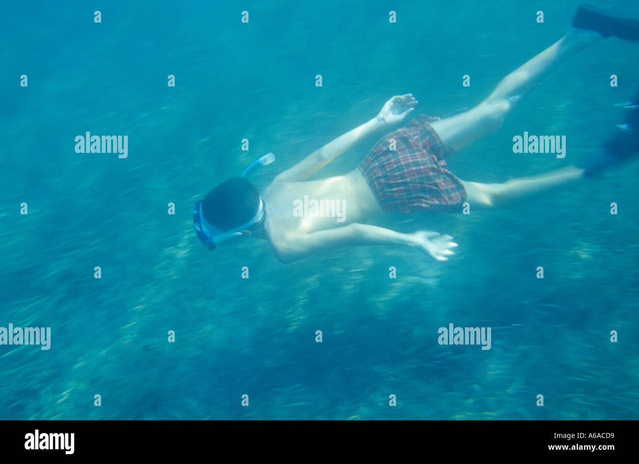 Young boy with mask snorkel and fins skin diving underwater Fethiye Bay