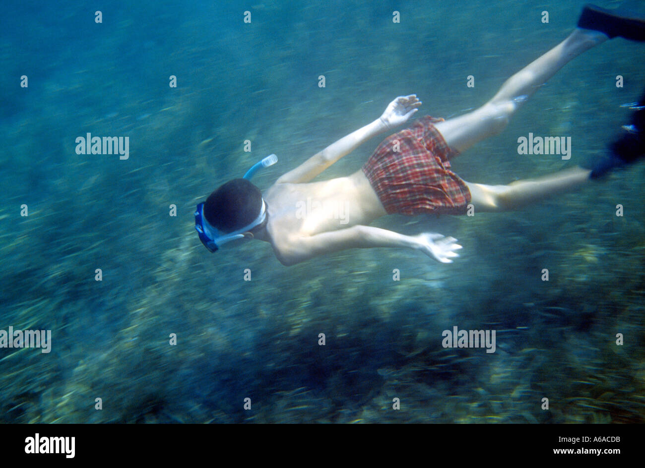Young boy with mask snorkel and fins skin diving underwater Fethiye Bay