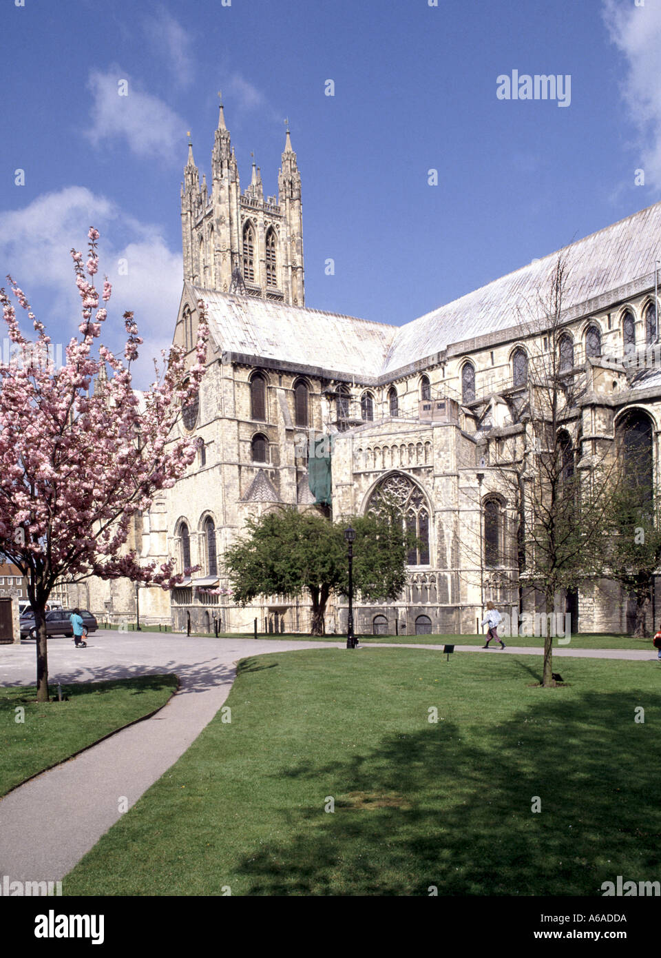 Canterbury Cathedral part of World Heritage Site & Grade I listed architecture springtime blossom on trees on a blue sky sunny day in Kent England UK Stock Photo