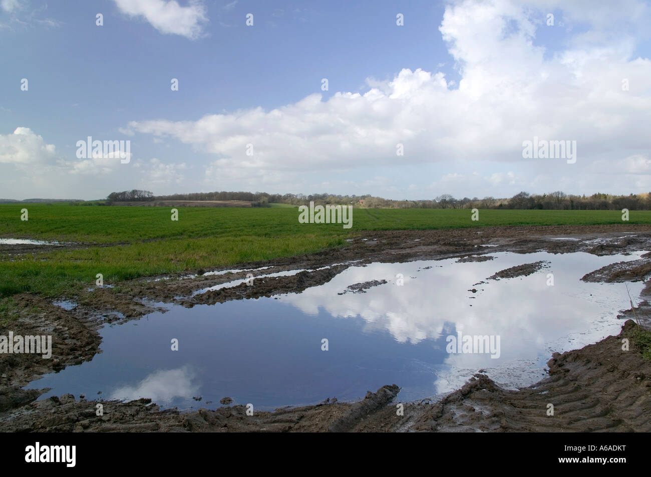 Rural Landscape with the sky reflected in a puddle Stock Photo