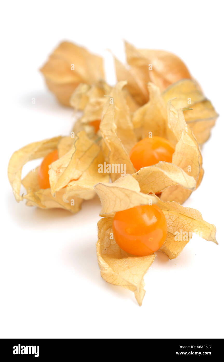 Physalis garnish hi-res stock photography and images - Alamy