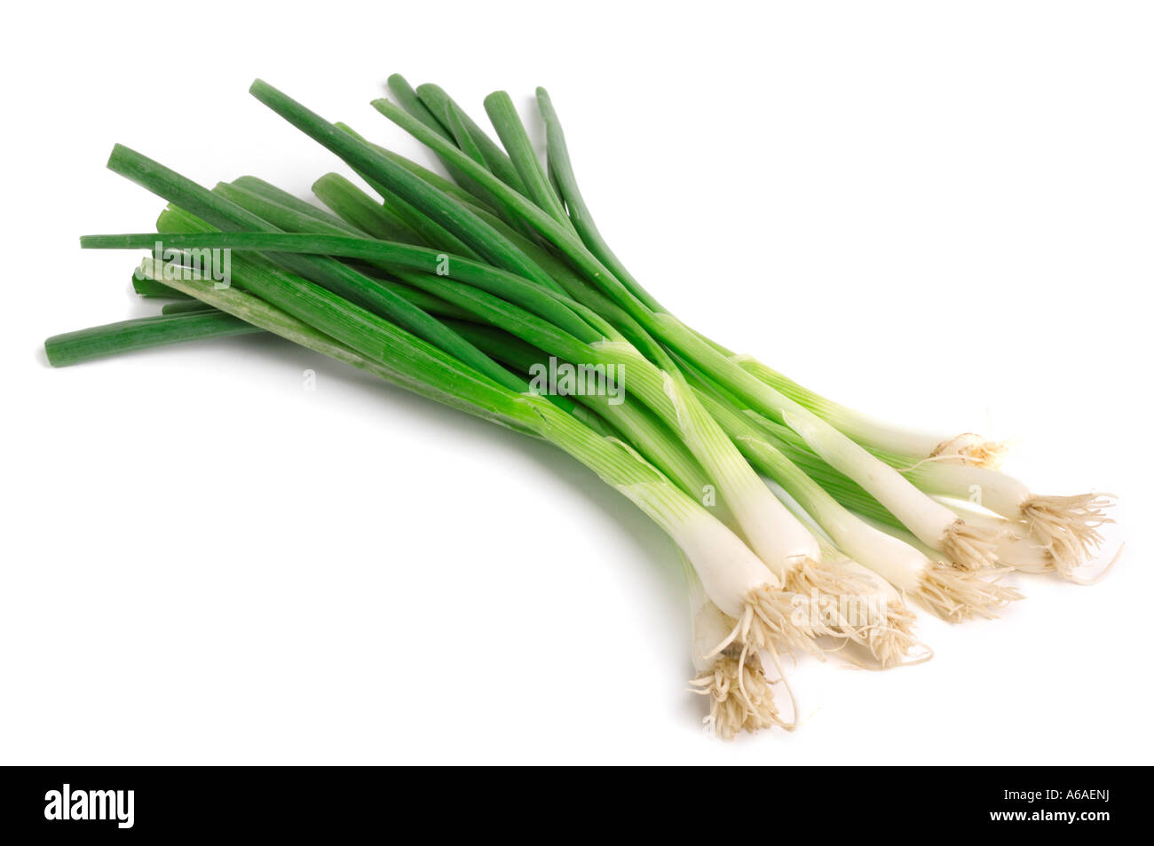 Spring Scallion Spring scallion hi-res stock photography and images - Alamy