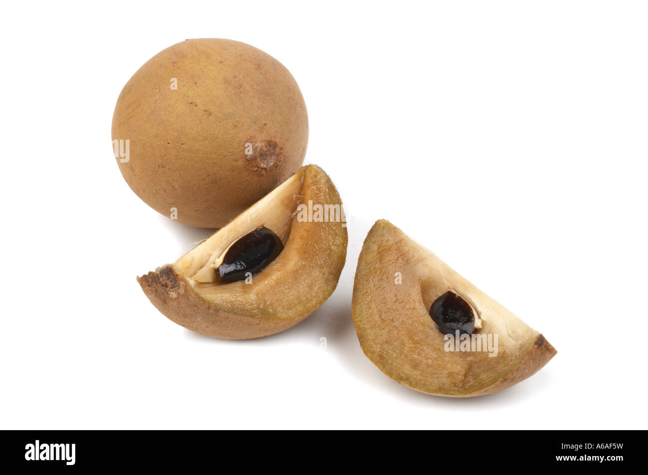 Chikko ciku hi-res stock photography and images - Alamy