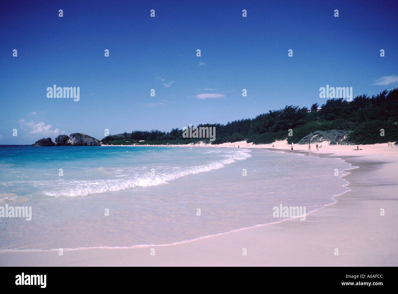 Horseshoe Bay Bermuda. The sand really is pink Stock Photo Alamy