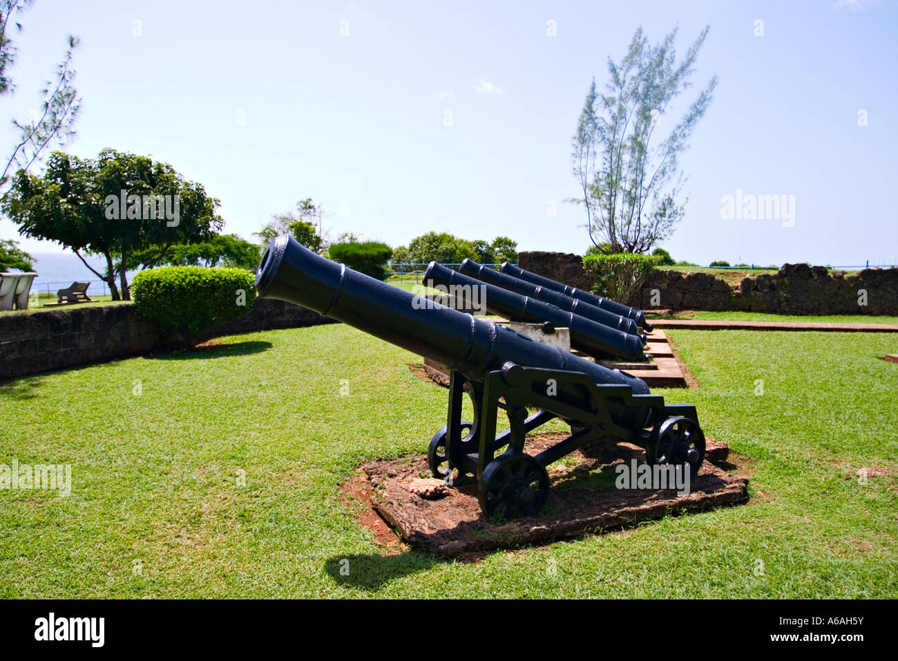 blood and gold caribbean cannons blood and gold caribbean cannons