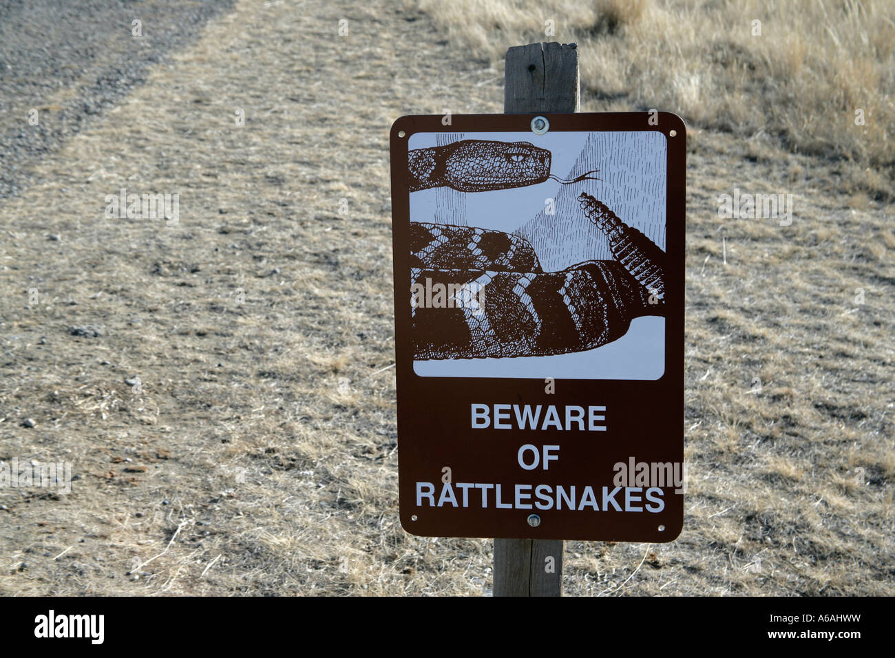 rattlesnake warning sign Stock Photo Alamy