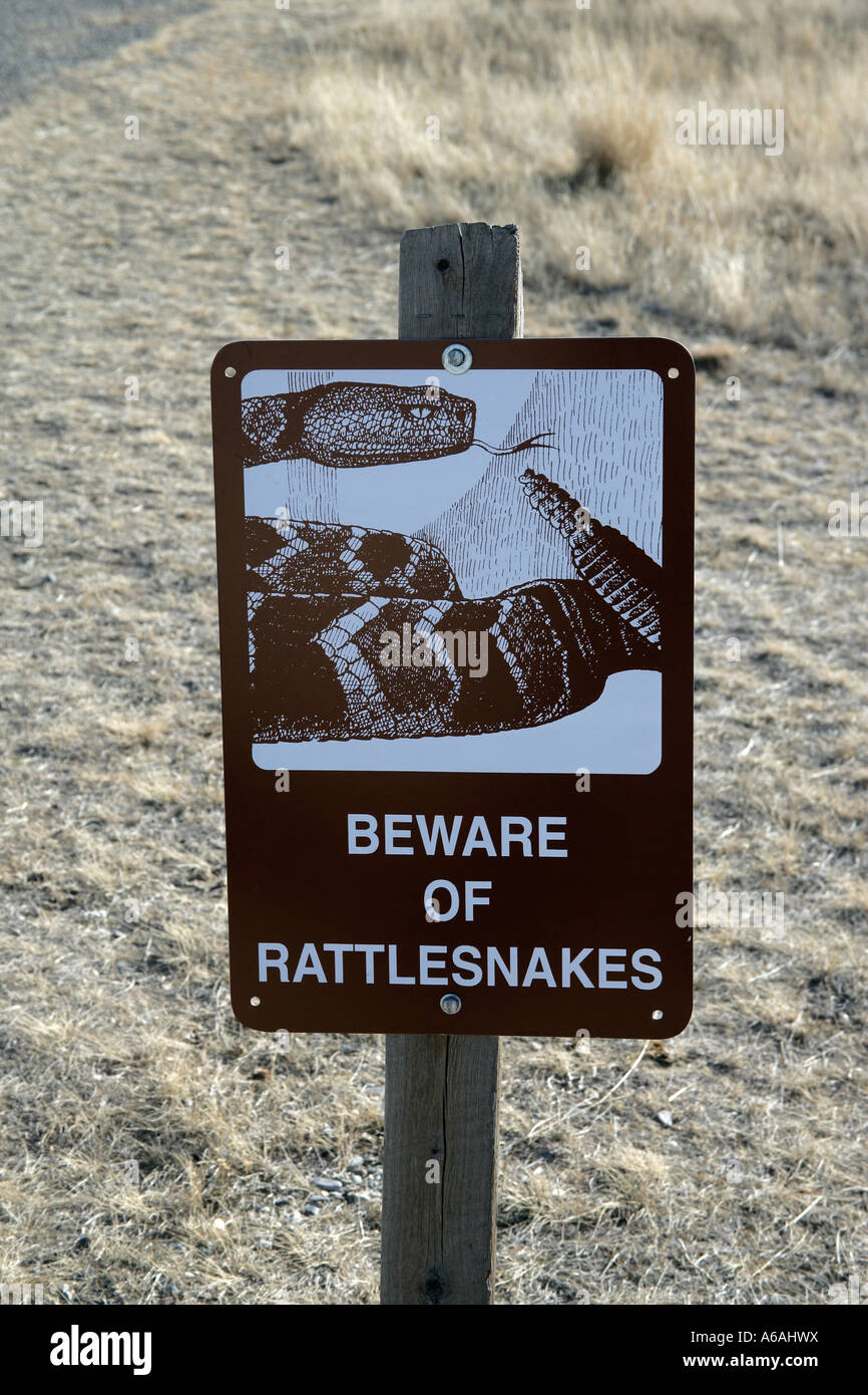 Rattle snake warning sign Stock Photo