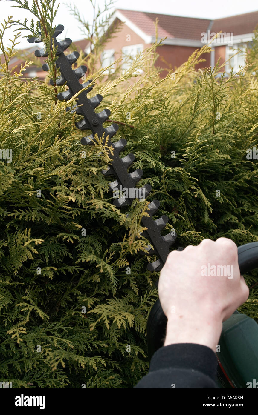 hedge, cutters, trimmer, shears, tree, prune, pruning, shear, cut, trim