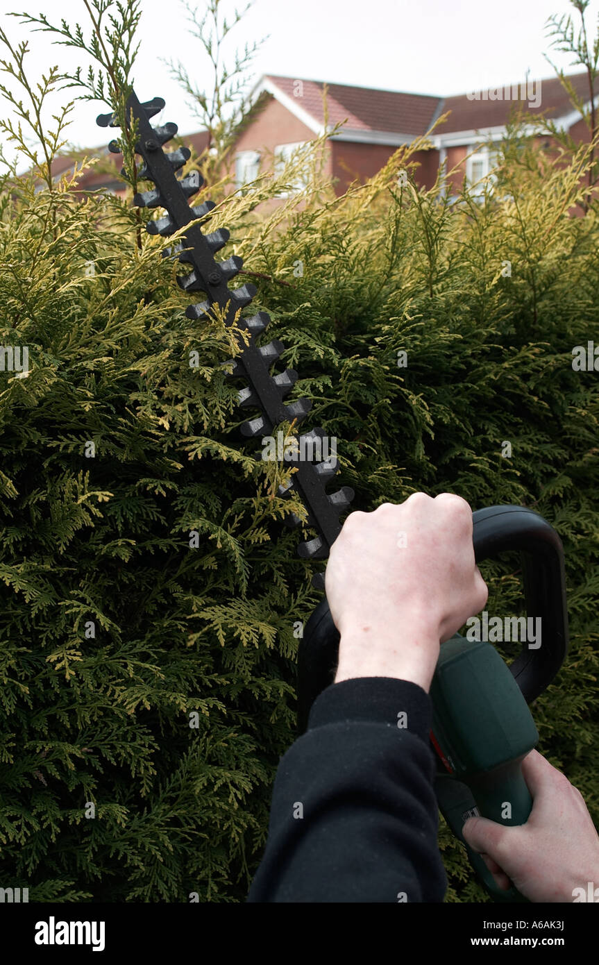 hedge, cutters, trimmer, shears, tree, prune, pruning, shear, cut, trim, tidy, garden, waste