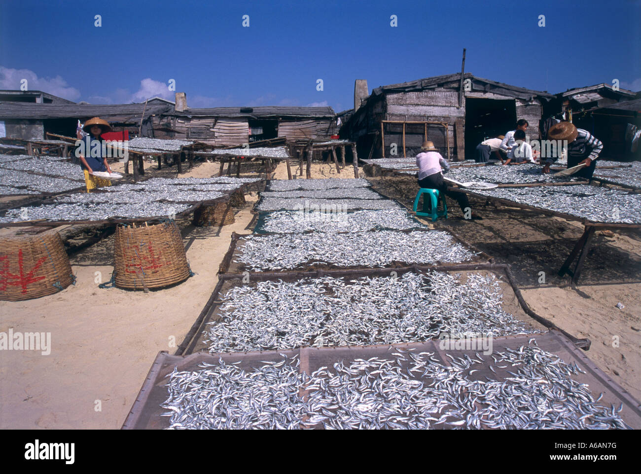 Xincun Download Free HD Maps, Regions and Roads (Images & PDFs)