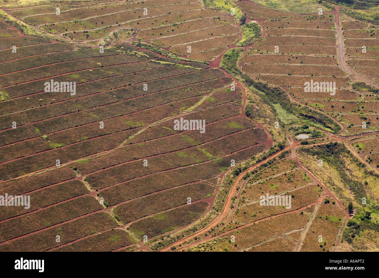 aerial view of agricultural land on Maui, Hawaii Stock Photo Alamy
