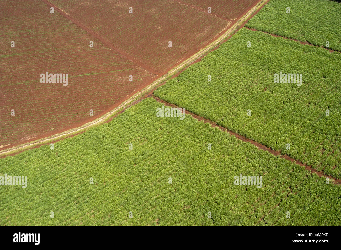 Agricultural land on Maui, Hawaii Stock Photo Alamy