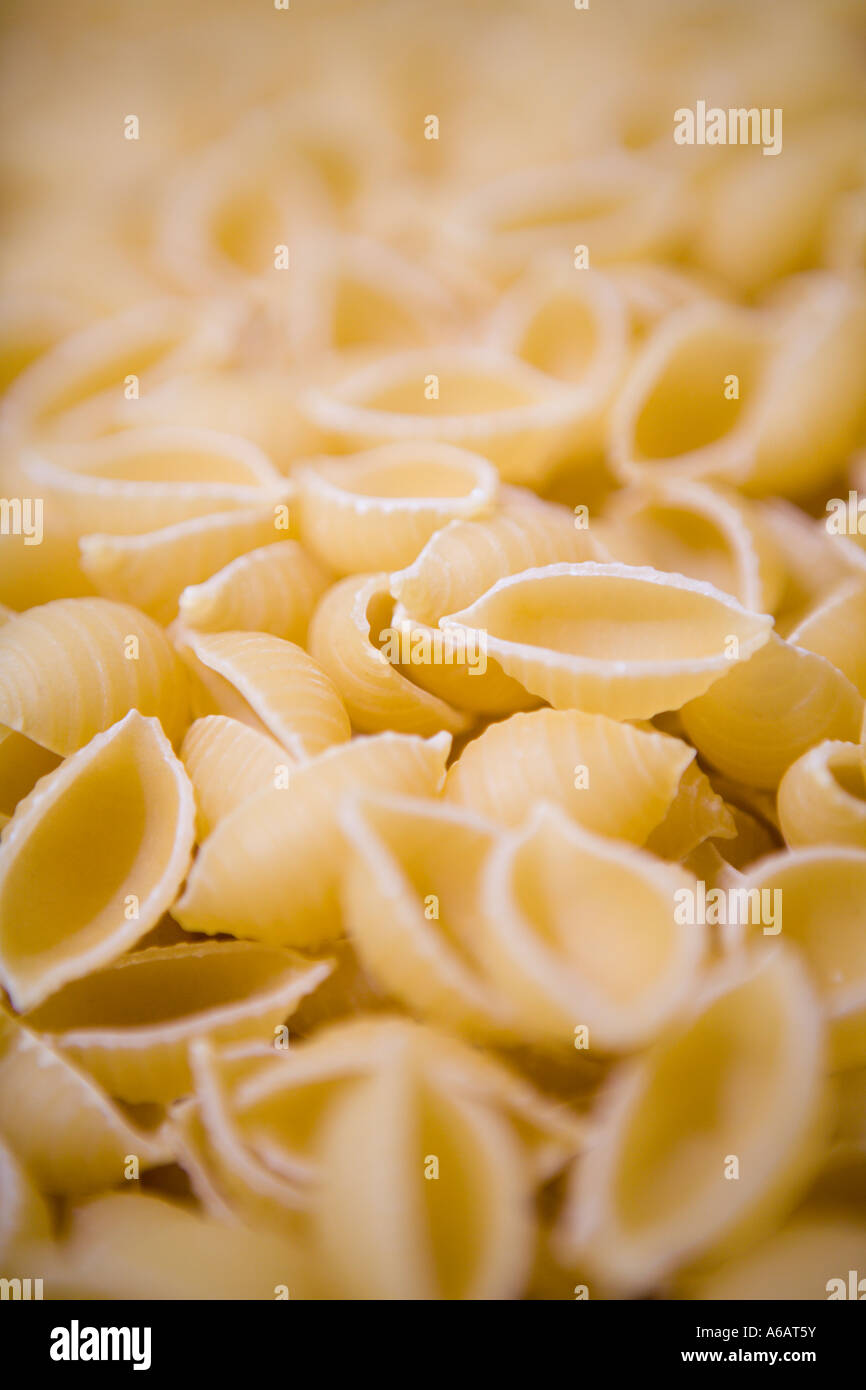 pasta shells, shortcut grooved pasta Stock Photo Alamy
