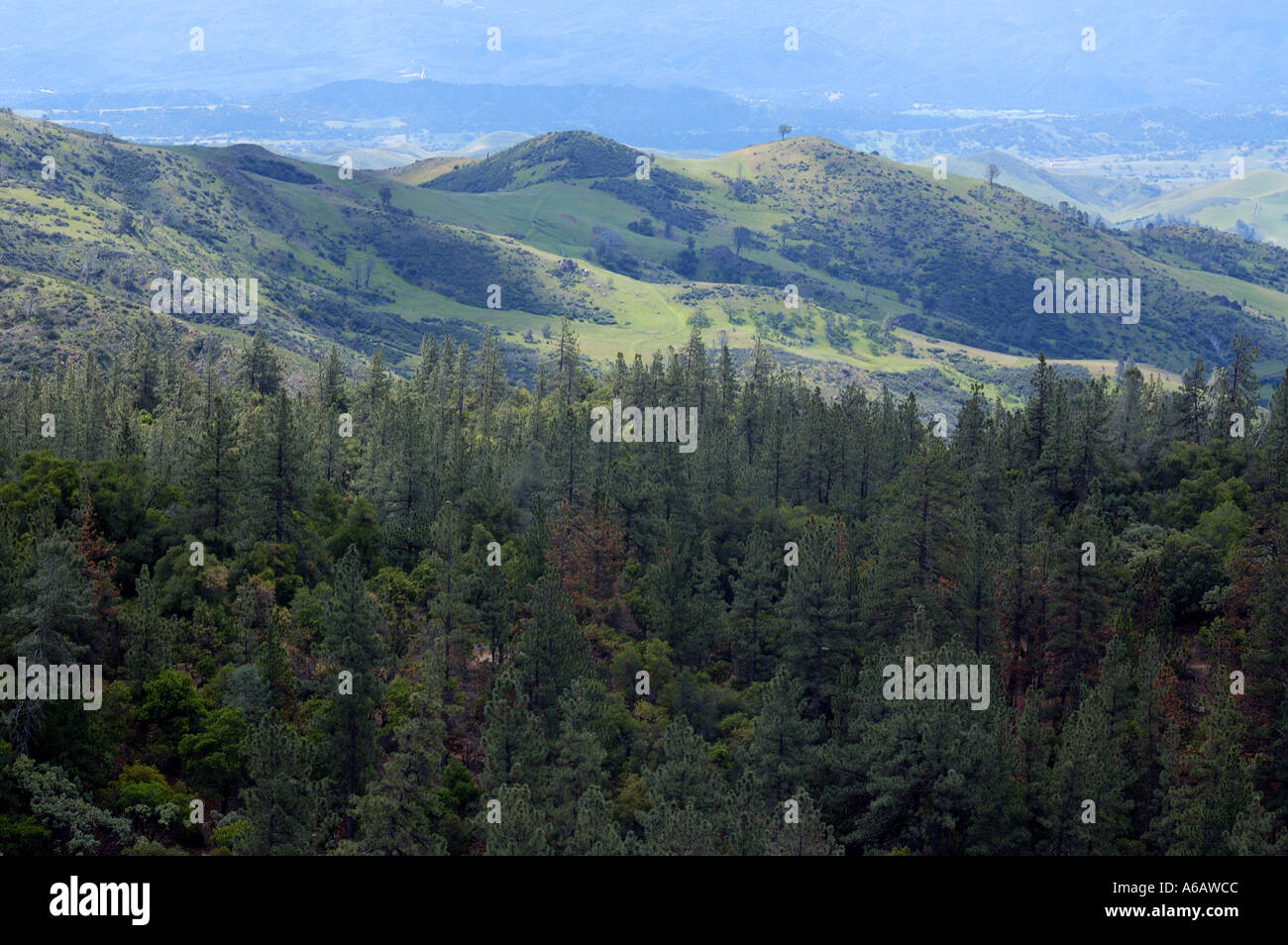 Los Padres National Forest Stock Photo Alamy