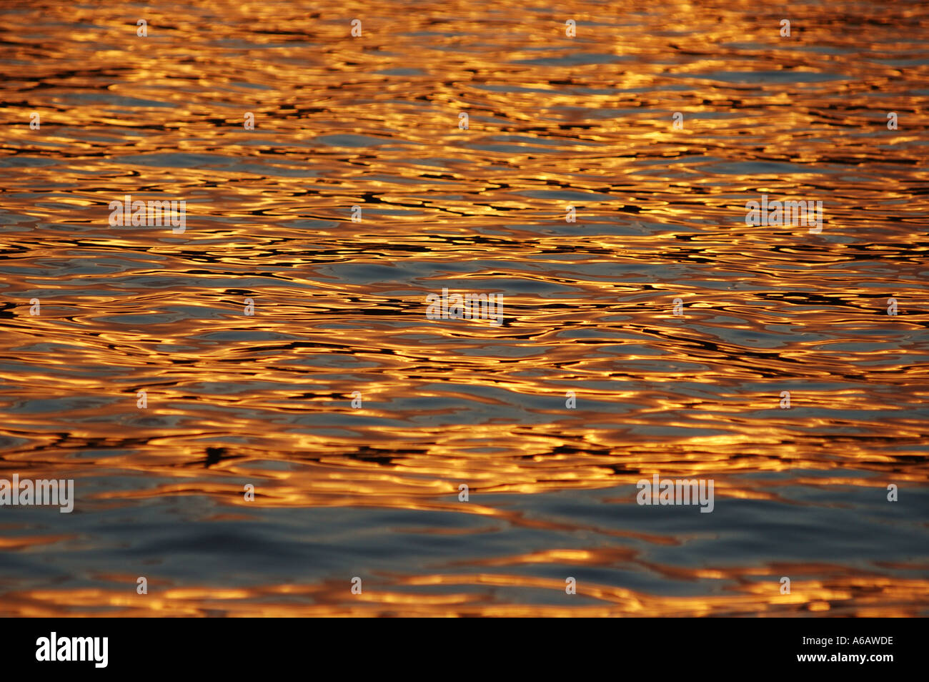 Lens Rippled Surface rippled surface of water dsca 1865 Stock Photo - Alamy