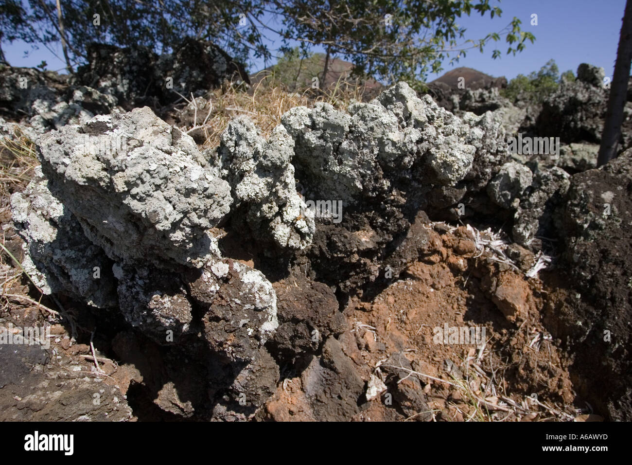 Chaimu lava flow being colonised by lichens with volcanic cones in background Tsavo National Park West Kenya East Africa Stock Photo
