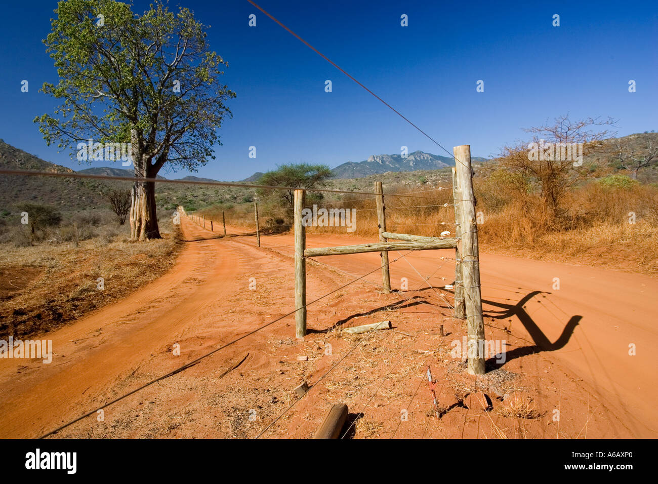 Solar powered electrified rhino fence and perimeter road around Ngulia Rhino Sanctuary Tsav West Kenya Stock Photo