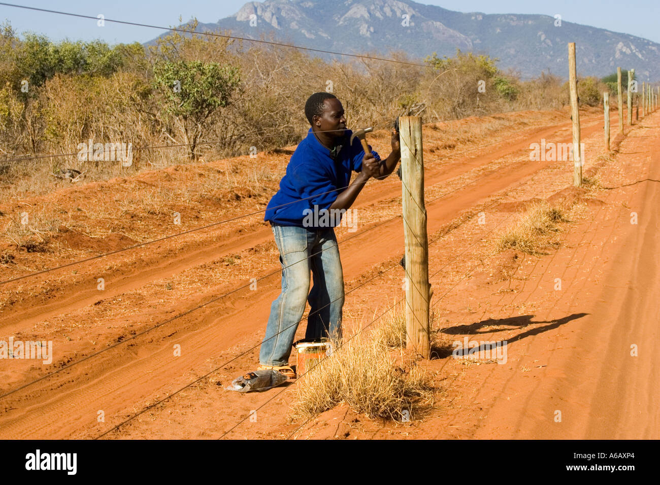 Wildlife ranger repairing solar powered electrified rhino fence around Ngulia Rhino Sanctuary Tsavo West Kenya Stock Photo