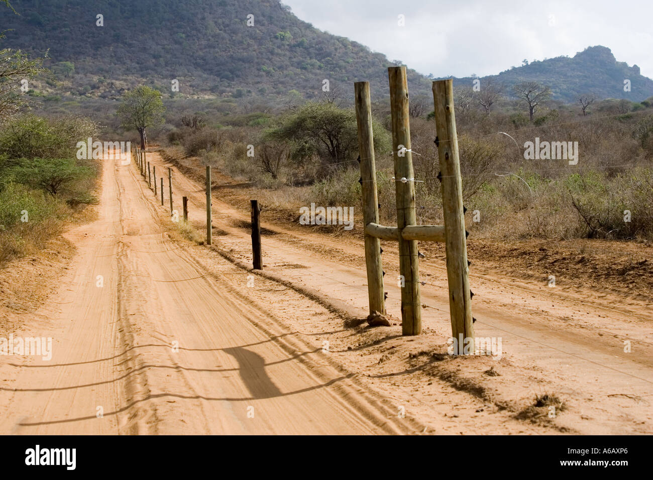 Solar powered electrified rhino fence and perimeter road around Ngulia Rhino Sanctuary Tsav West Kenya Stock Photo