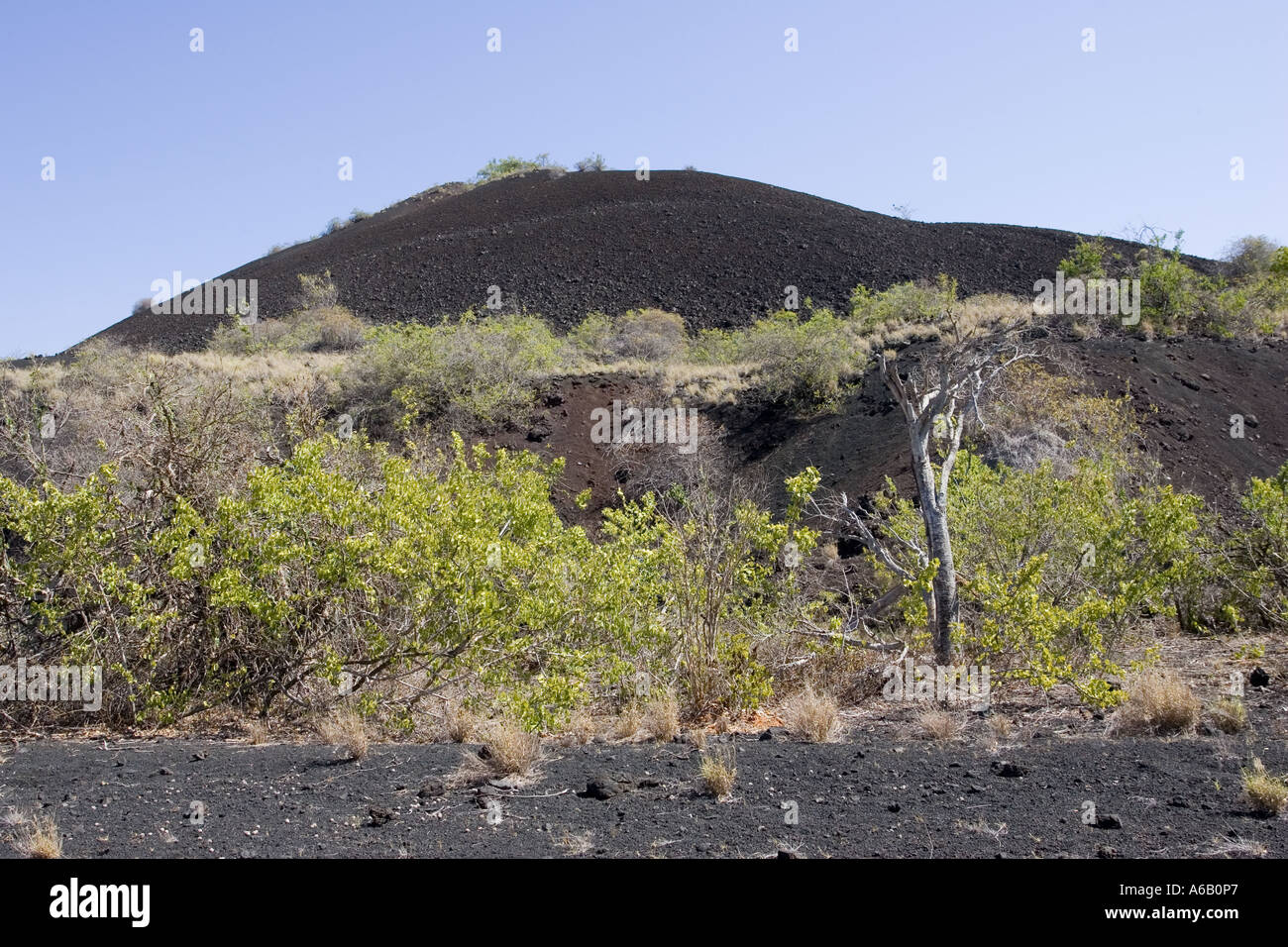 Chaimu lava flow with volcanic cones in background Tsavo National Park West Kenya East Africa Stock Photo