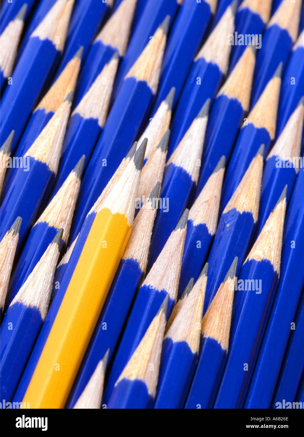 Objects Blue lead pencils still life concept ideas image Stand out from the crowd Be different Don't conform Make a point Point of the matter etc Stock Photo