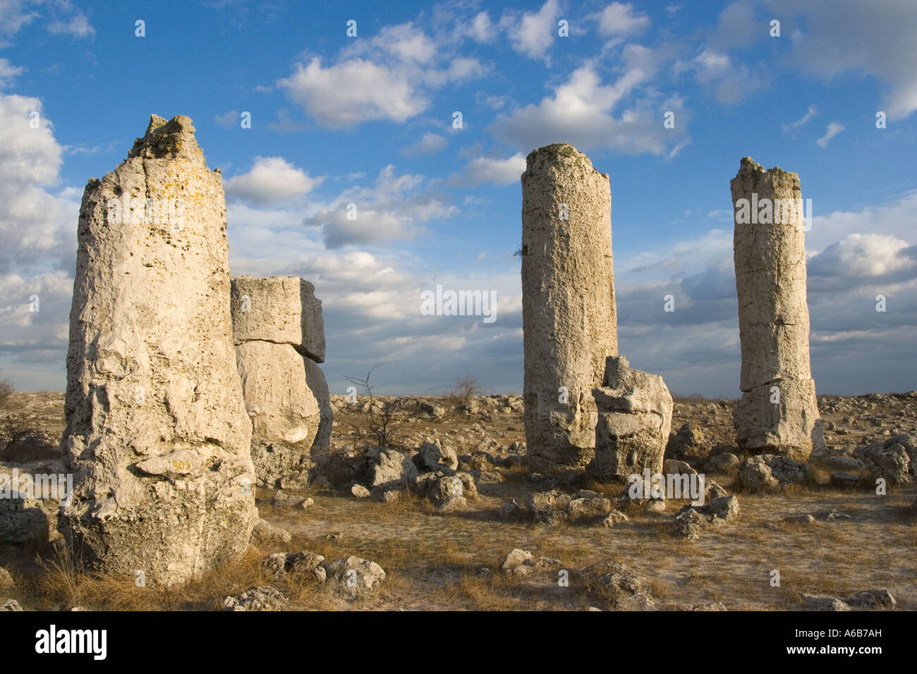 Nature phenomenon, standing stones, cylindrical limestone monoliths
