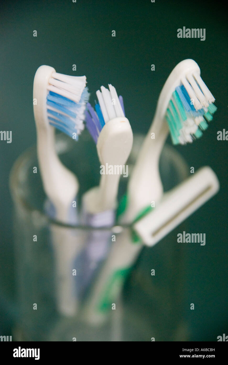 Razor teeth hires stock photography and images Alamy