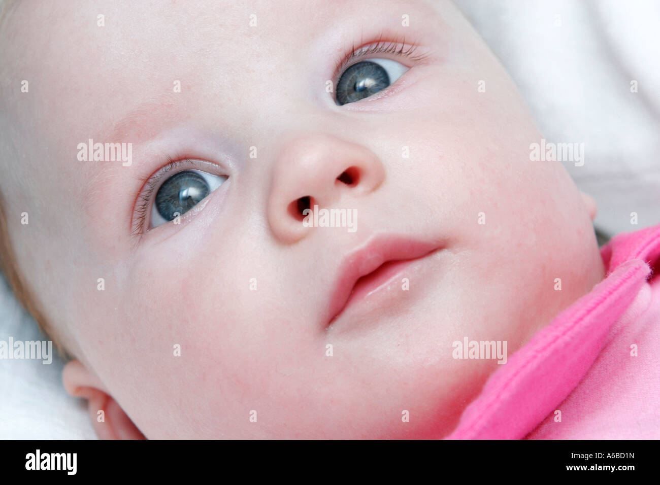 Baby Face Portrait Stock Photo