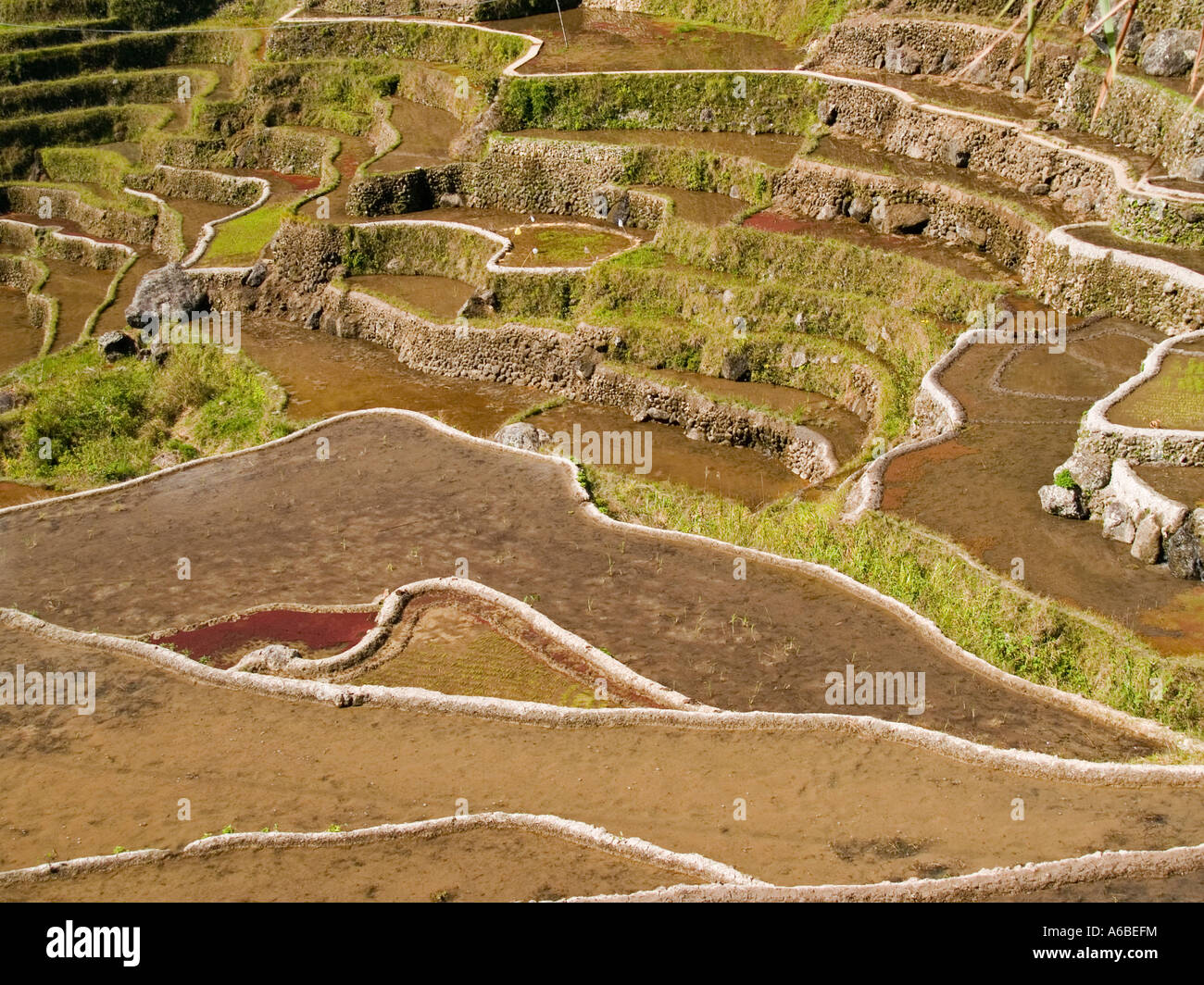 Banaue rice terraces batad hi-res stock photography and images - Alamy
