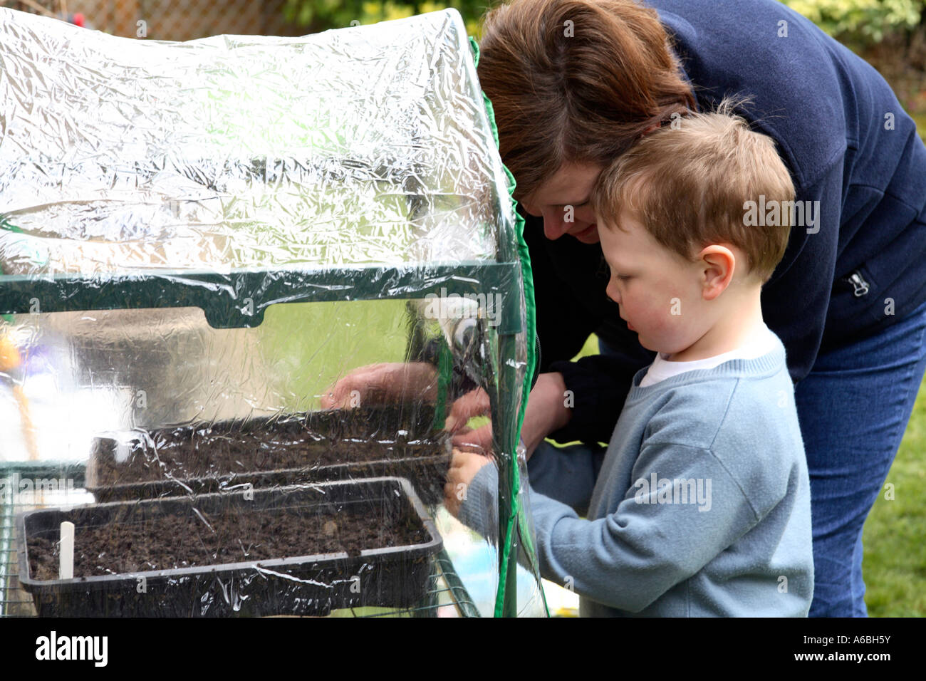 Mother helping her young son place planted seed trays into small plastic greenhouse for germination in early spring Stock Photo