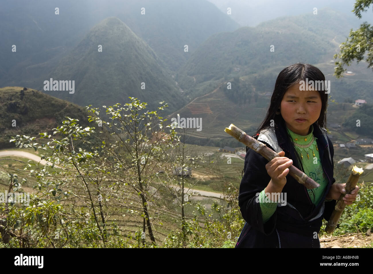 Girl from traditional hill tribes in Sapa North Vietnam Stock Photo - Alamy