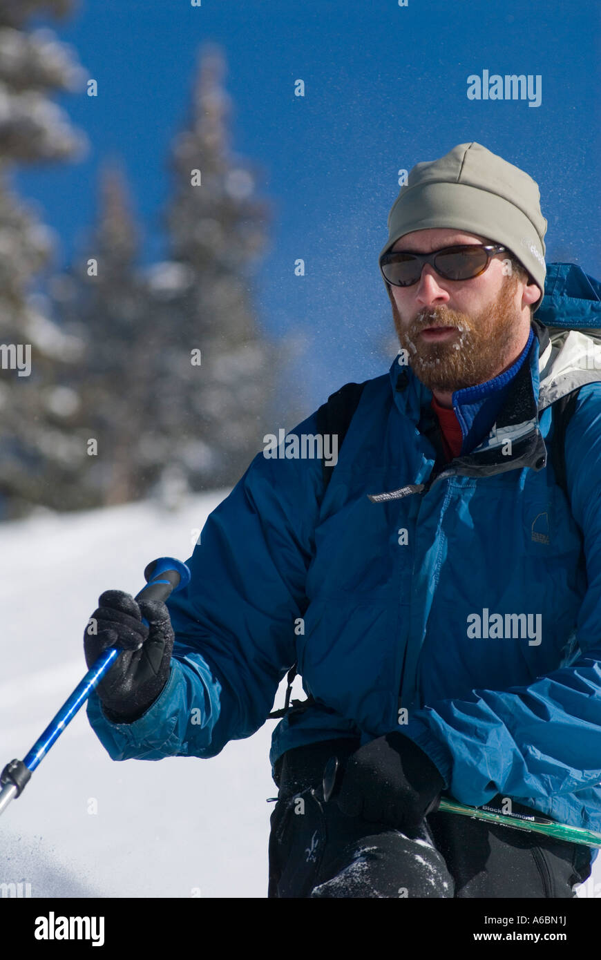 Skiing in backcountry powder near New York Mountain, Colorado Stock