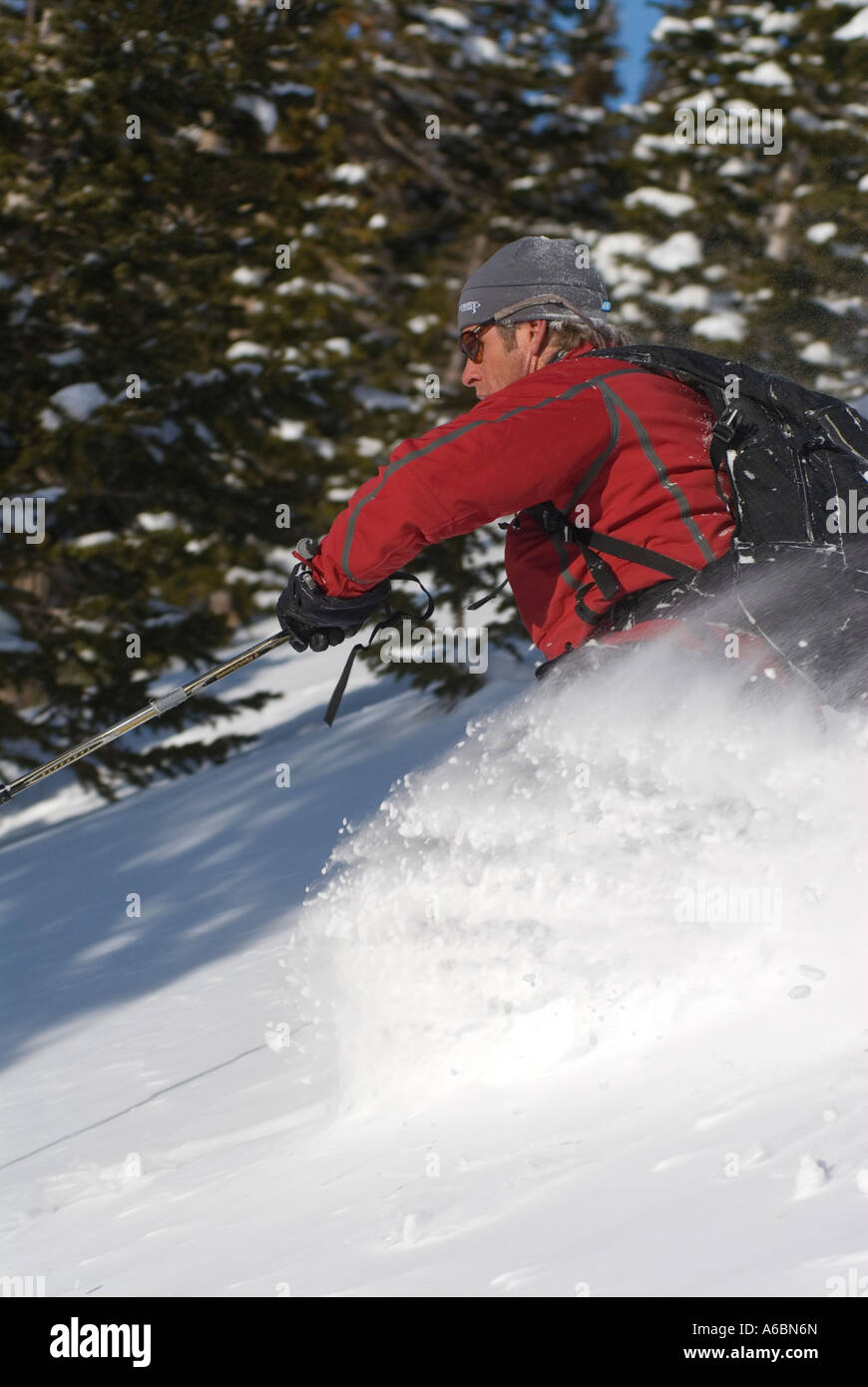 Telemark skiing in backcountry powder near New York Mountain, Colorado