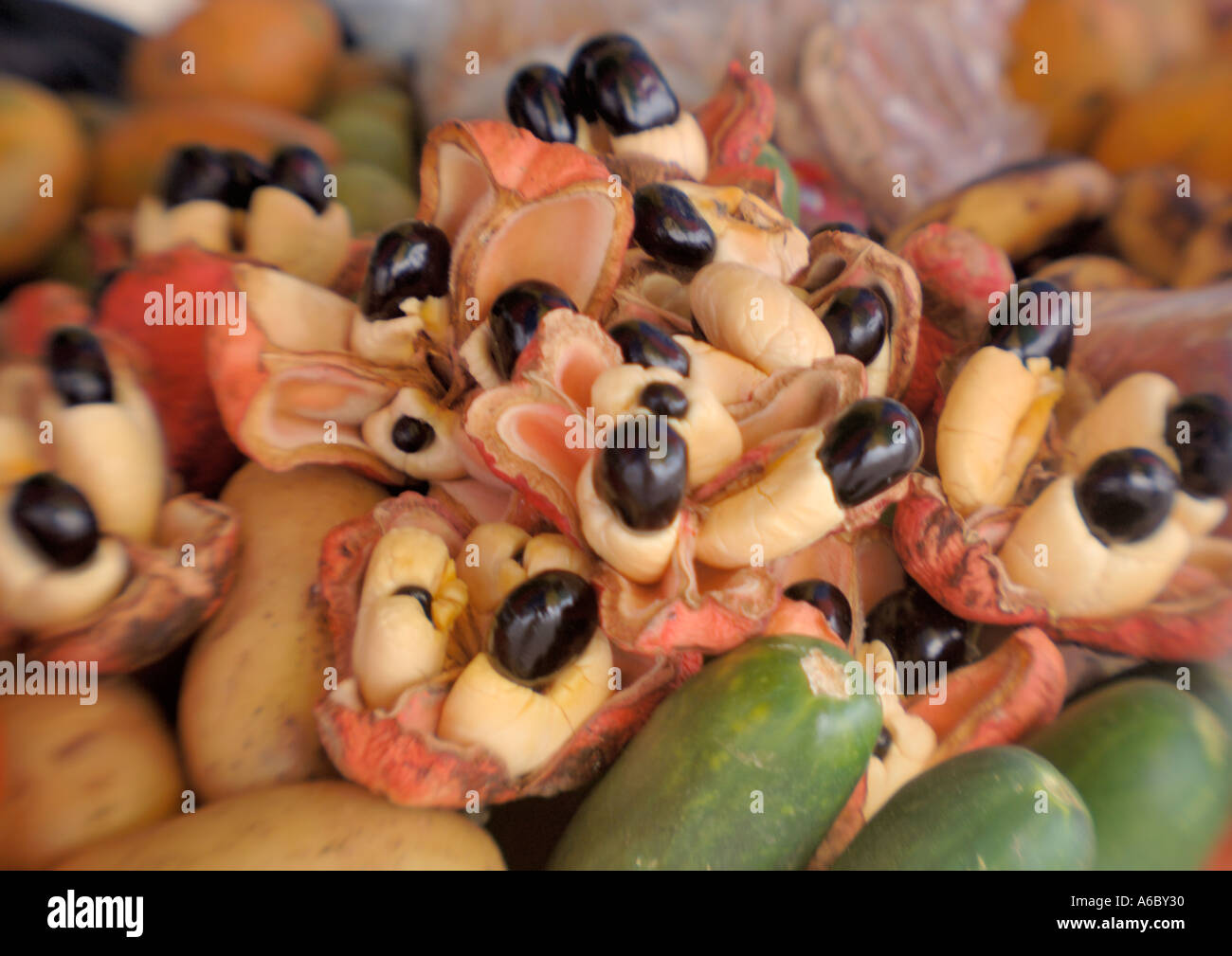 A color horizontal selective focus image of a bunch of ripe Ackee fruits and some squash Stock Photo