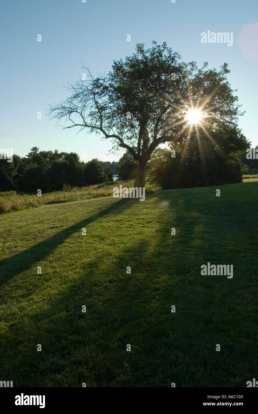 Landscape With The Rays Of The Late Afternoon Sun Shining Through The 