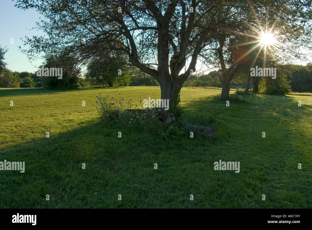 Landscape with the rays of the late afternoon sun shining through the ...