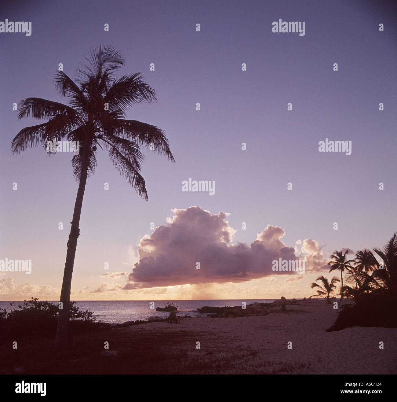 Caribbean island sunset Stock Photo