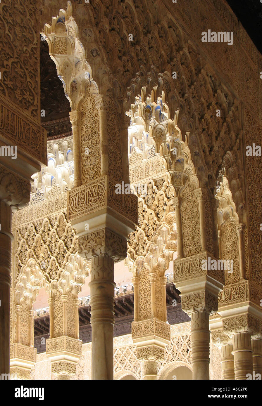 Detail of Column Forest Alhambra Granada Andalucia Spain Stock Photo