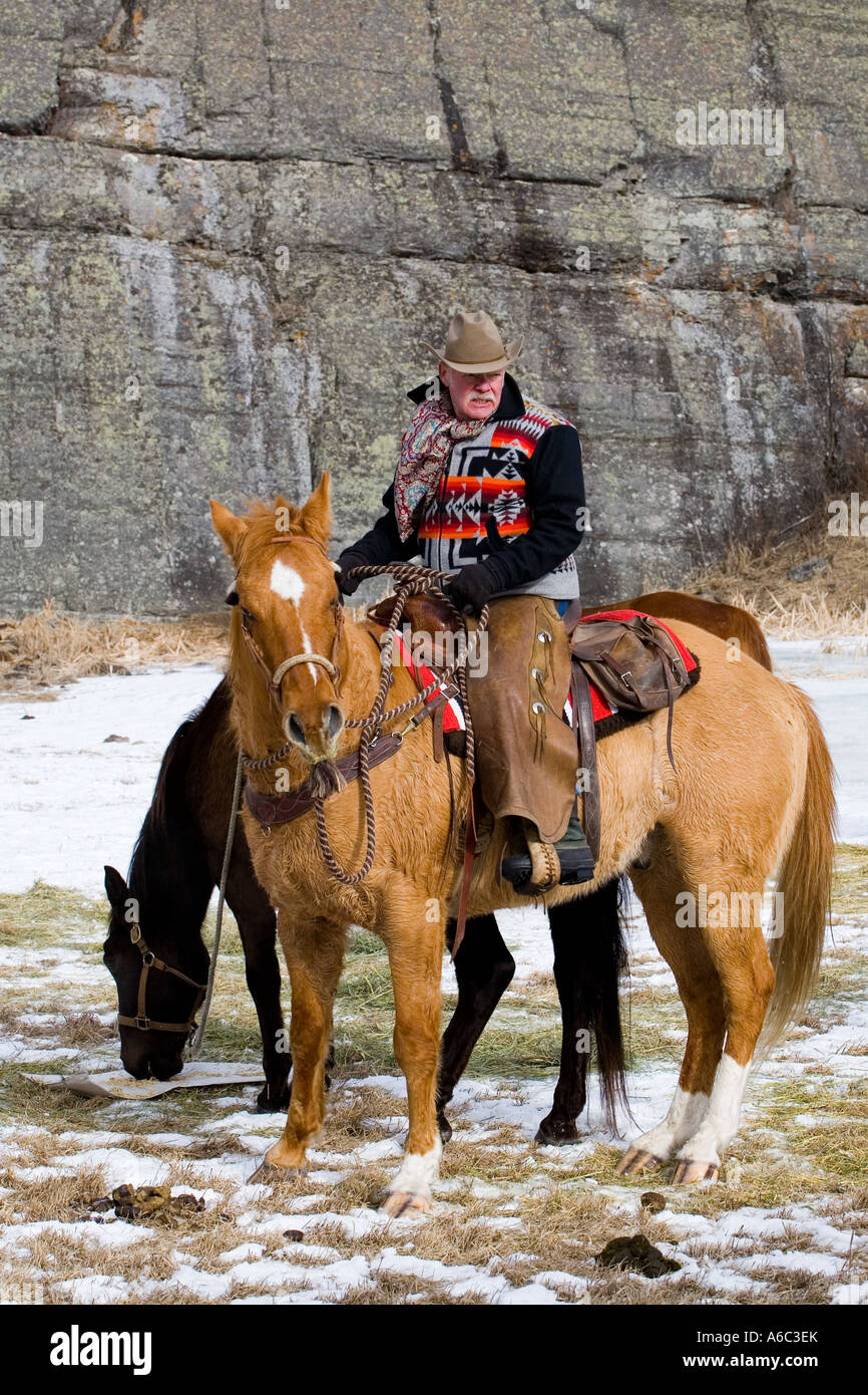 Scene from a horse round up in rural Montana Stock Photo - Alamy