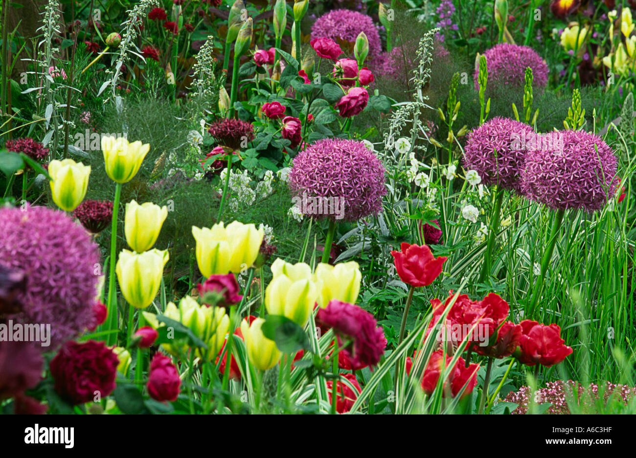 RHS CHELSEA FLOWER SHOW 2003 Stock Photo