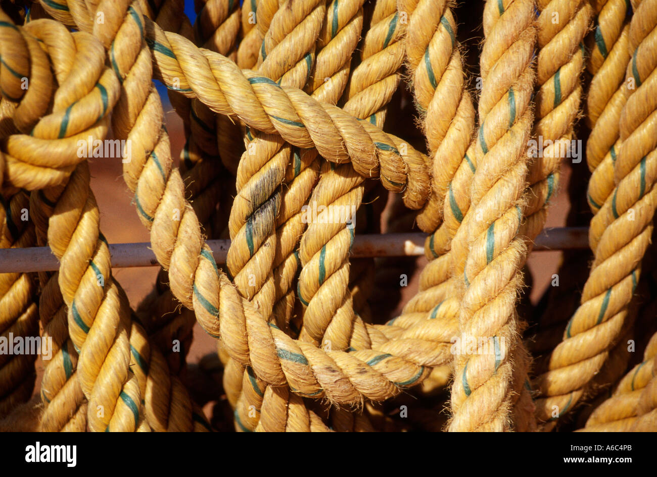 Close-up of coils of rope Stock Photo