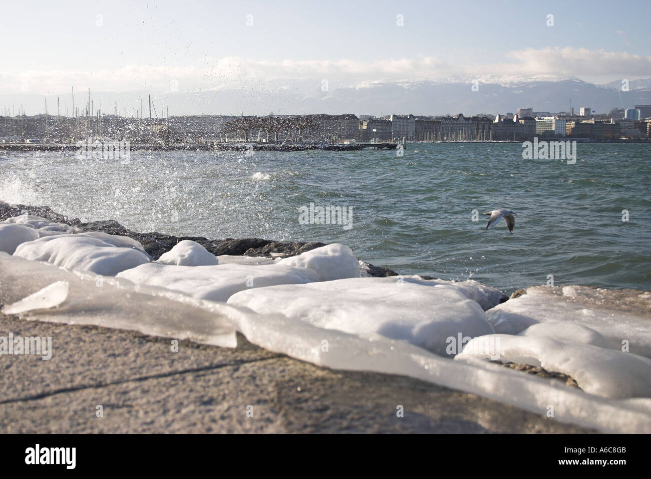 Lake front in Geneva, Switzerland Stock Photo