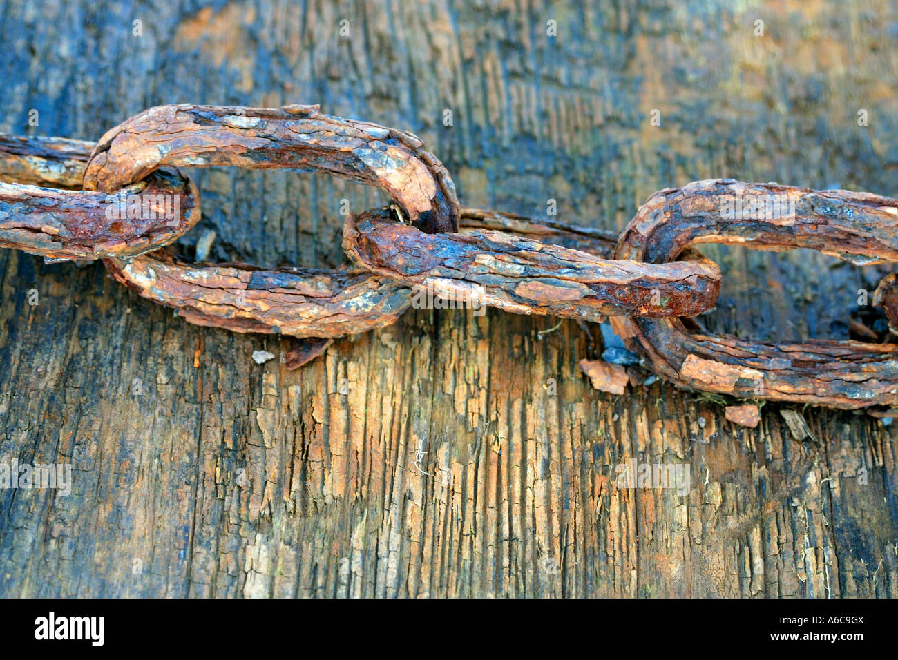 Very heavily corroded metal chain wrapped tightly around a large wooden beam previously used as a pier support Stock Photo