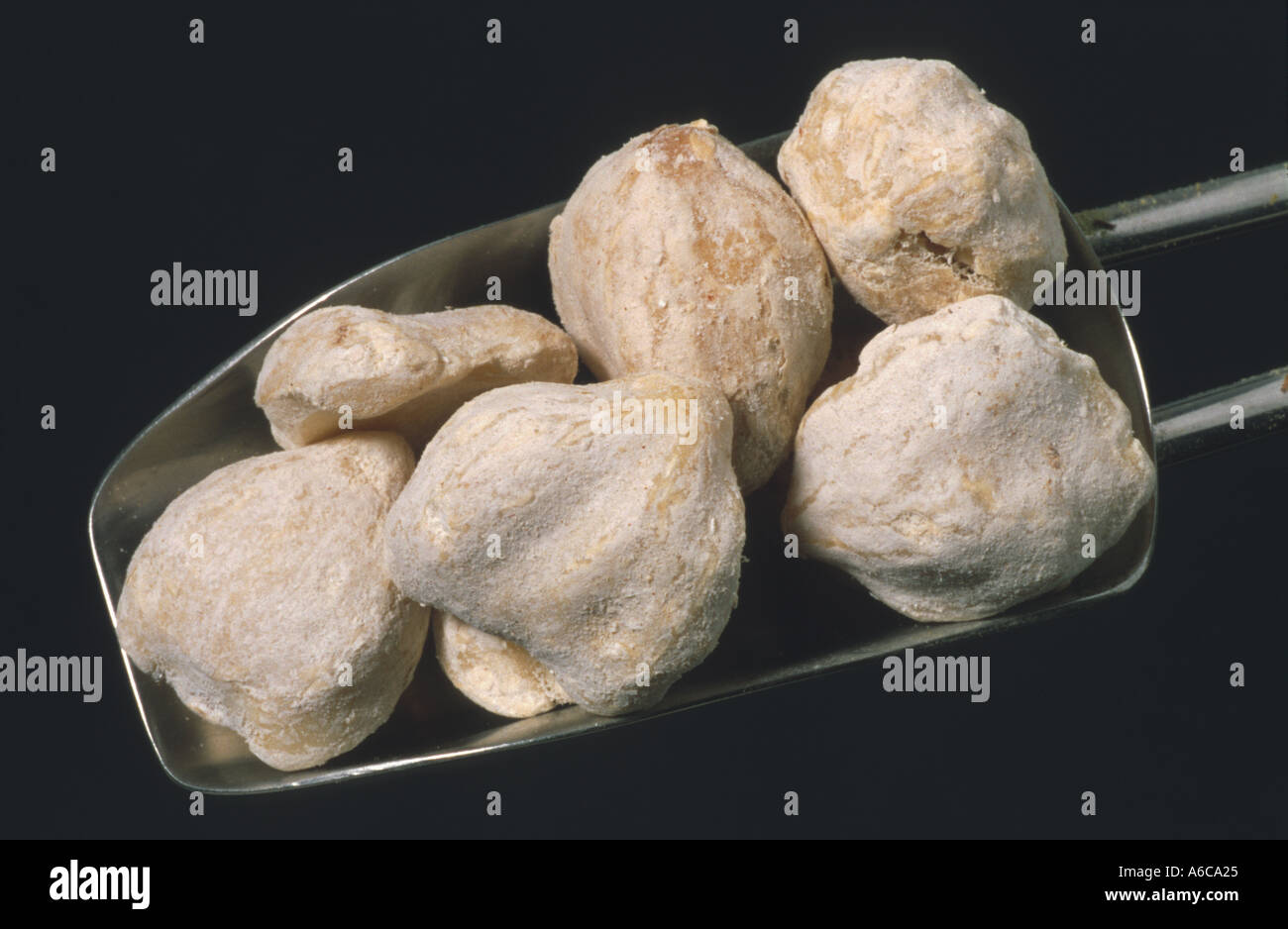 Kemiri nuts Candlenuts medicinal use and spice Stock Photo
