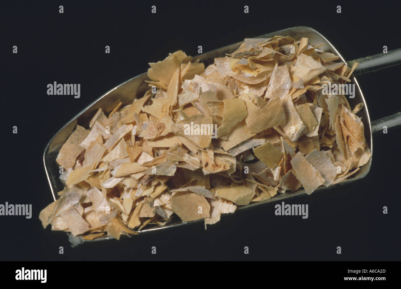 Bean Cortex fructur phaseoli Bohne Bohnenschalen medicinal plant Stock Photo