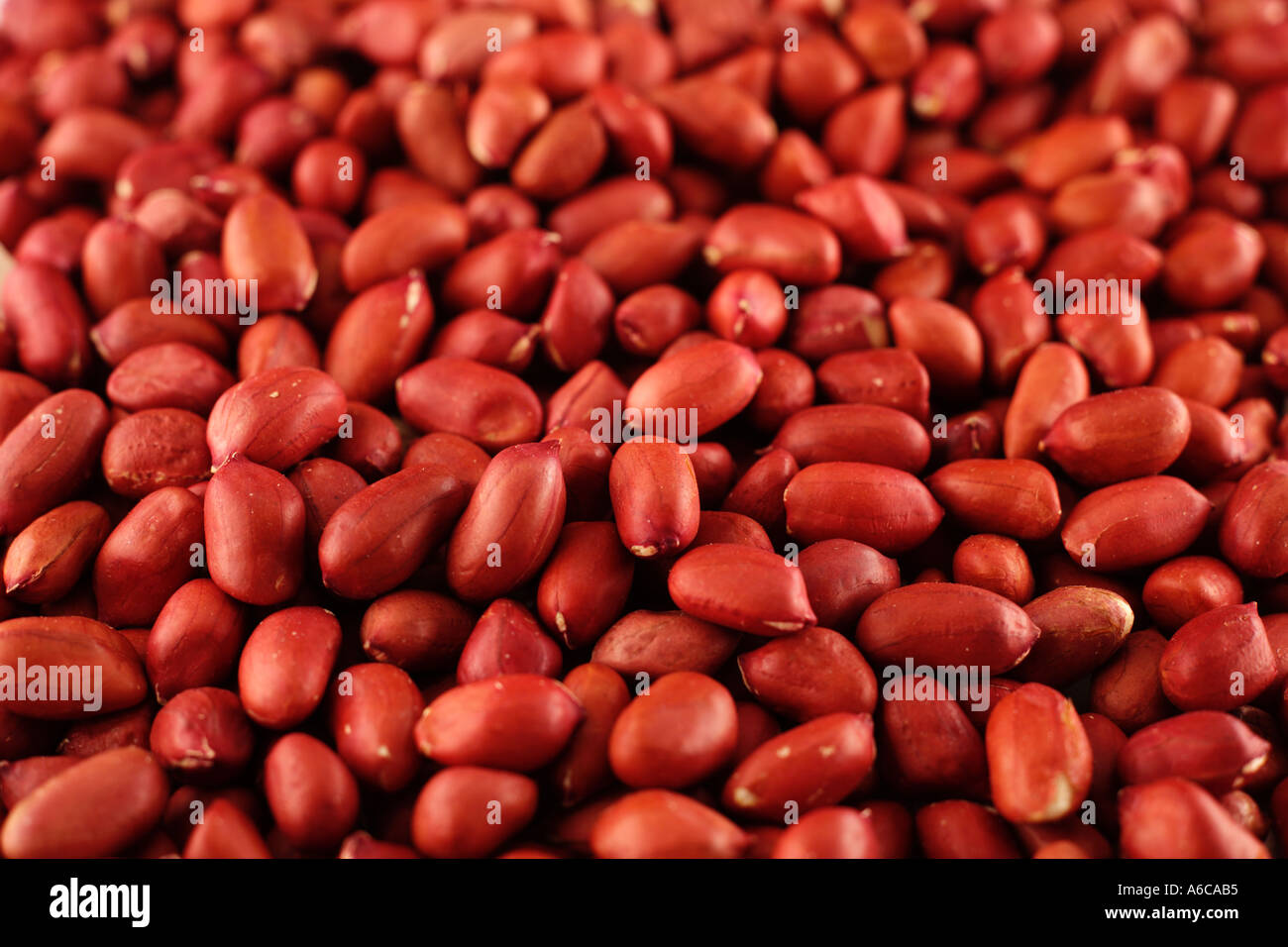 RED SKIN PEANUTS Stock Photo Alamy
