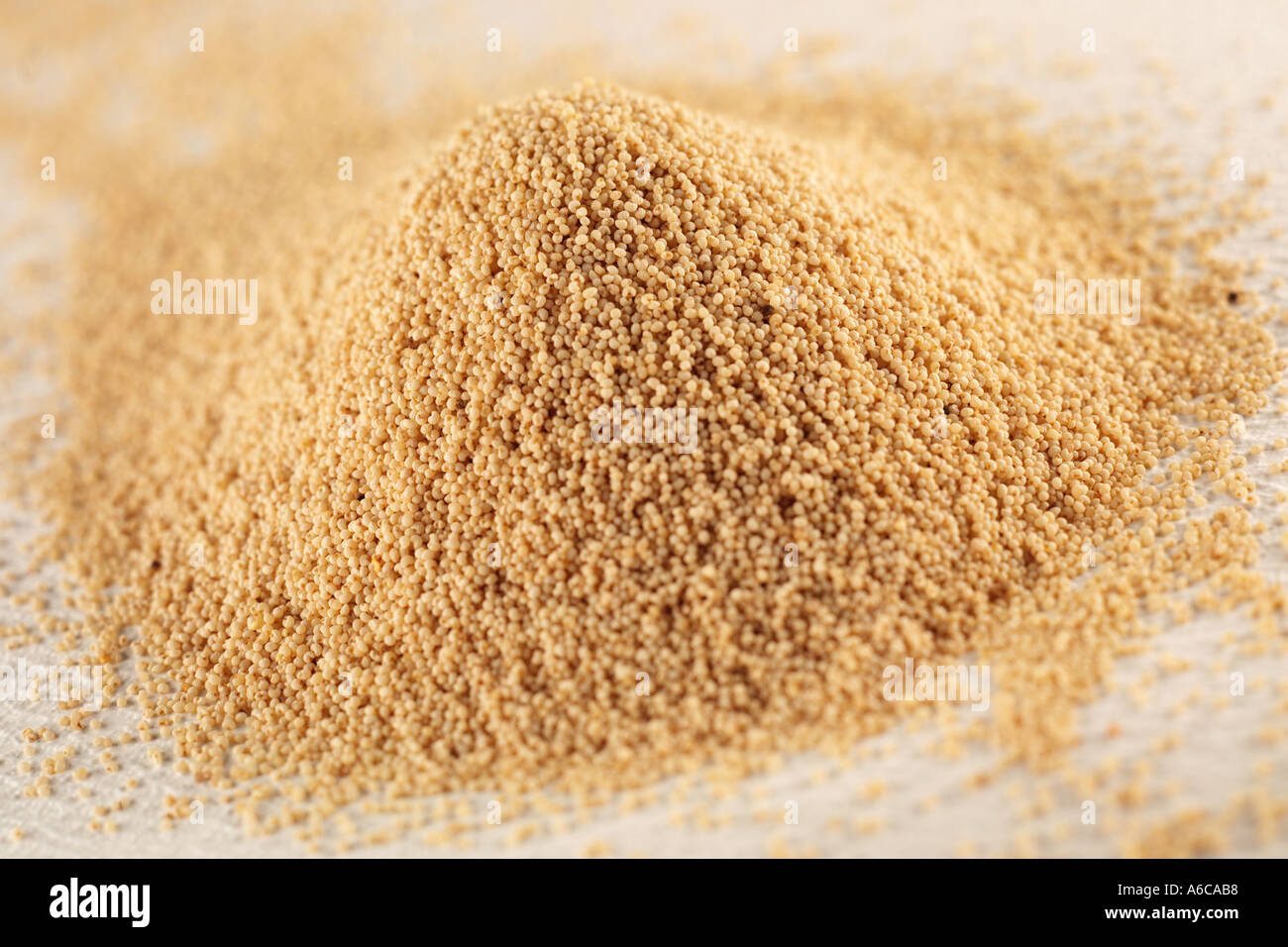 WHITE POPPY SEEDS Stock Photo Alamy